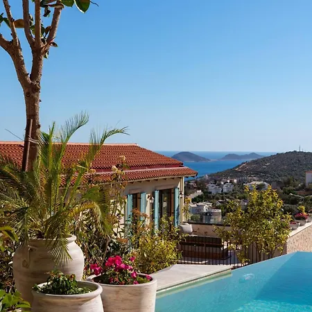 فيلة Calliope, Epic Elegance Retreat